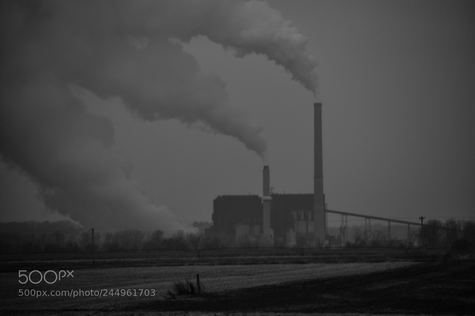 Nikon D3400 sample photo. Smog much photography
