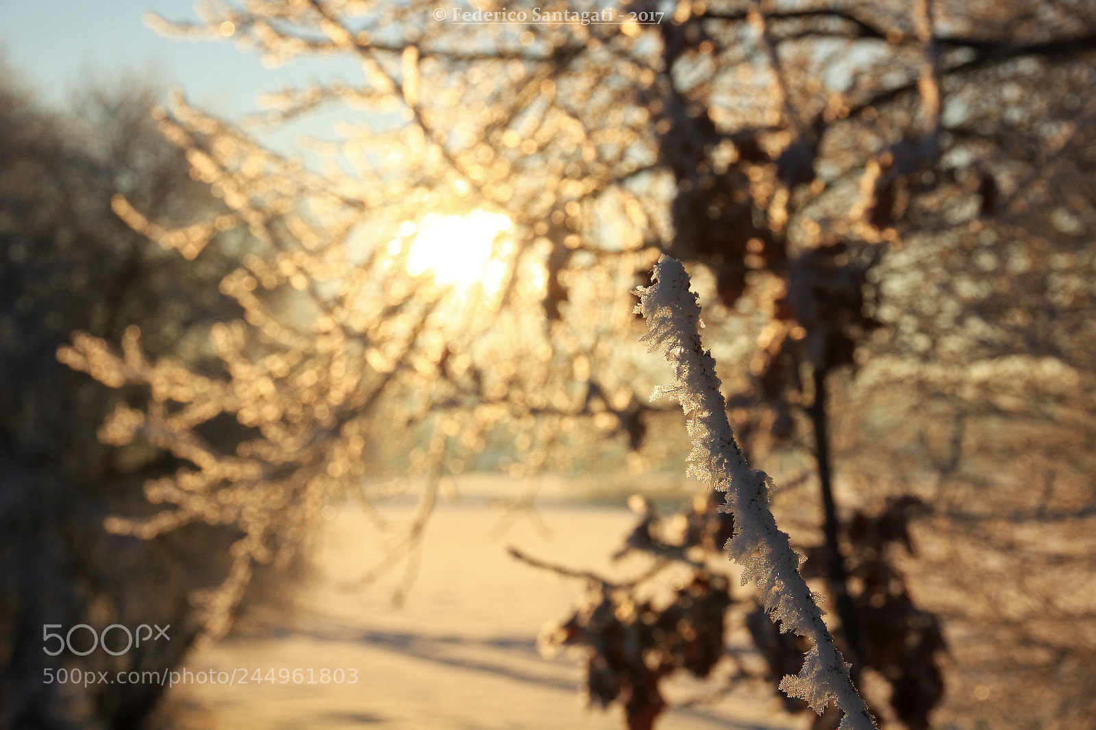 Canon EOS 7D sample photo. Icy morning photography