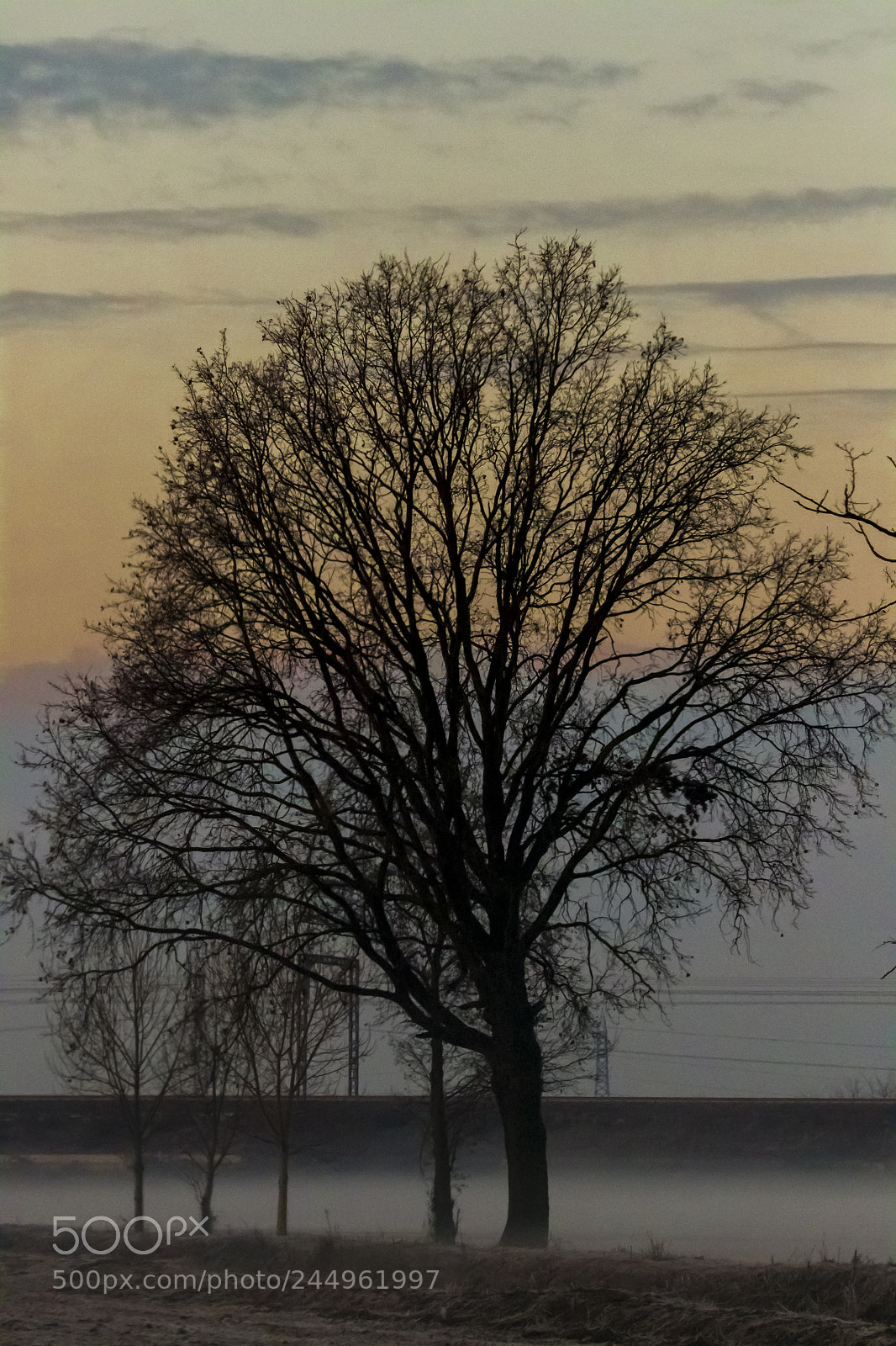 Canon EOS 7D Mark II sample photo. Mattinata invernale .. photography