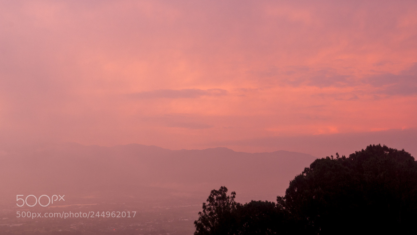 Olympus OM-D E-M10 sample photo. Blazing dawn photography