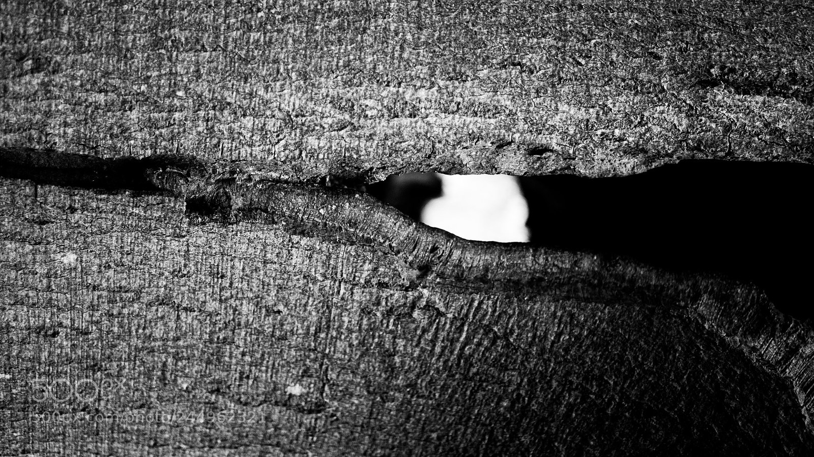 Panasonic Lumix DMC-G85 (Lumix DMC-G80) sample photo. Eye wood photography