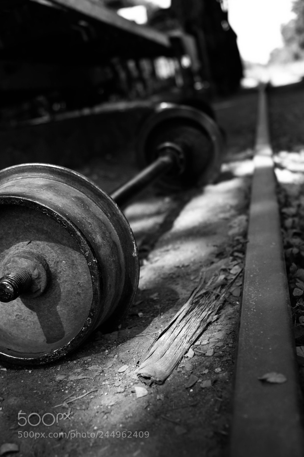 Fujifilm X-T2 sample photo. Bamboo train photography