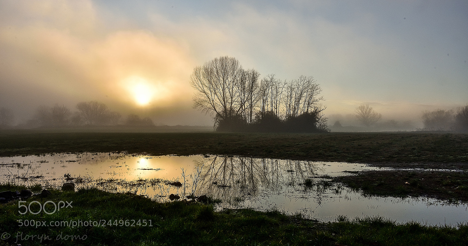 Nikon D7200 sample photo. The sun is coming photography