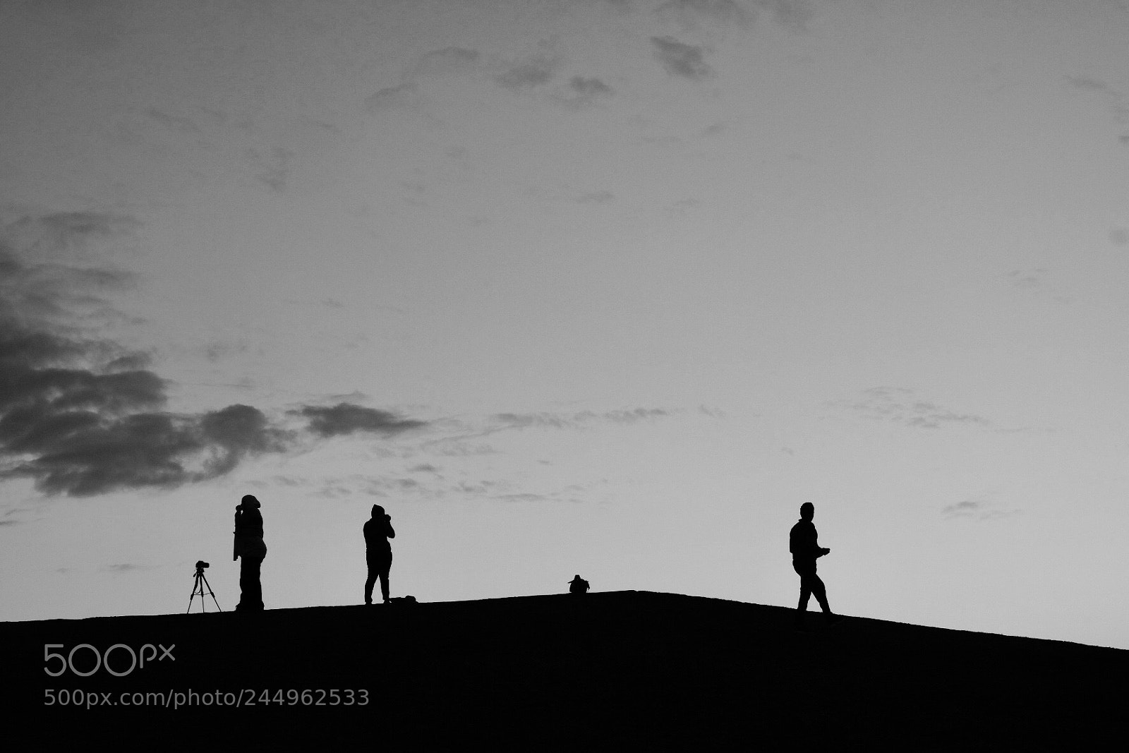 Fujifilm X-Pro2 sample photo. Silhouette by the sunset photography