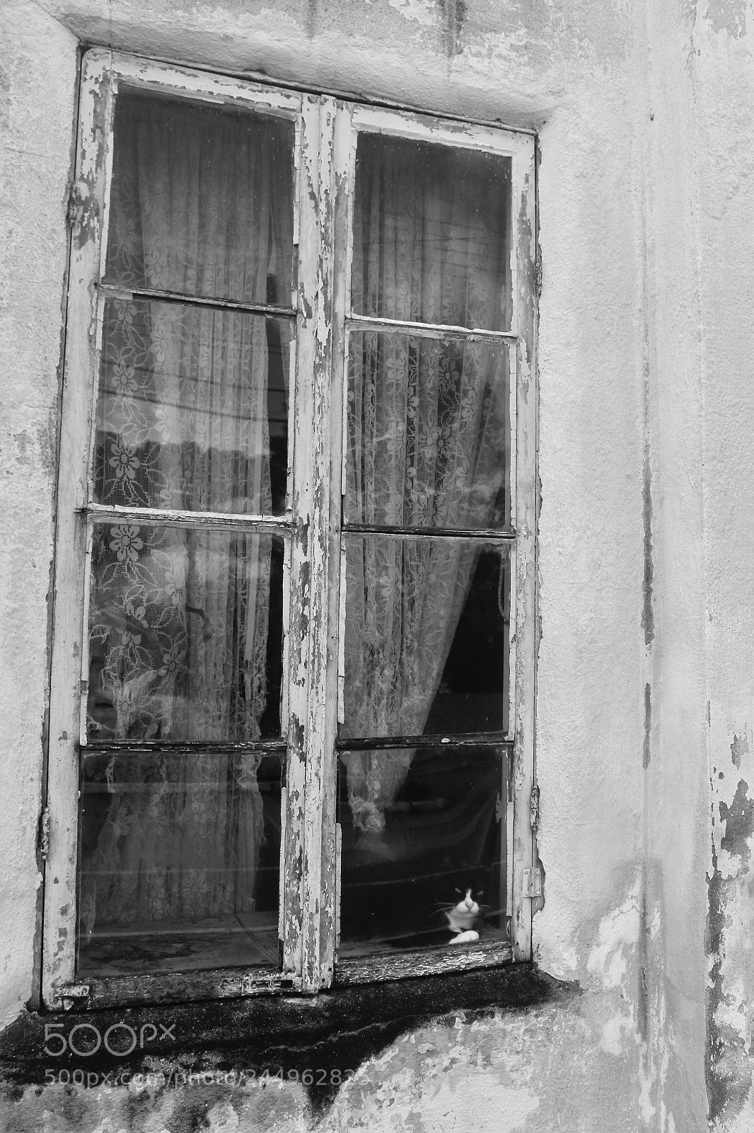 Canon EOS 600D (Rebel EOS T3i / EOS Kiss X5) sample photo. Window photography