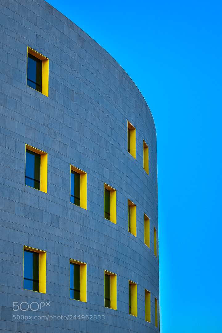 Nikon D5600 sample photo. Lisboa - champalimaud photography