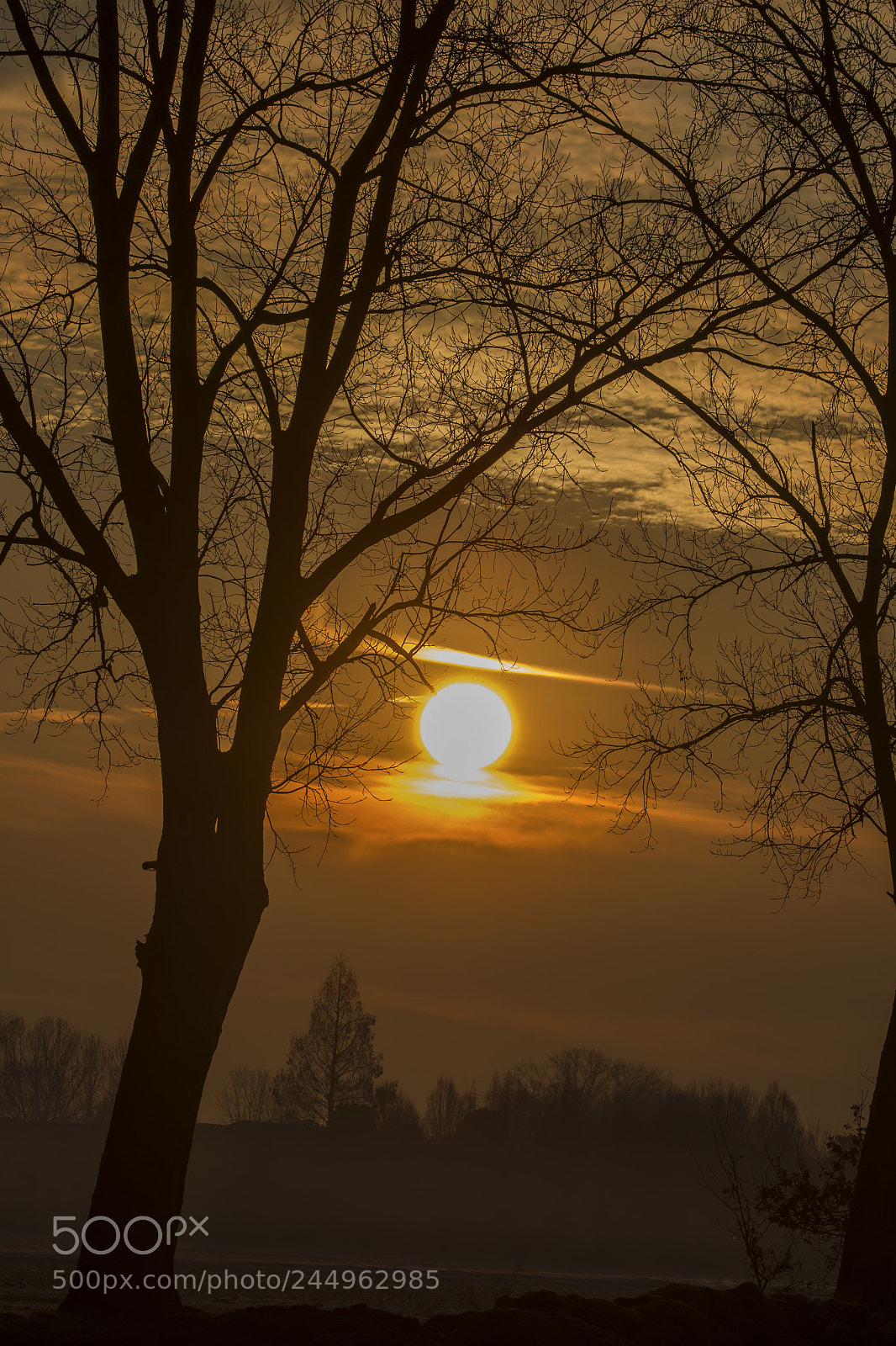 Canon EOS 7D Mark II sample photo. Il buongiorno si vede photography