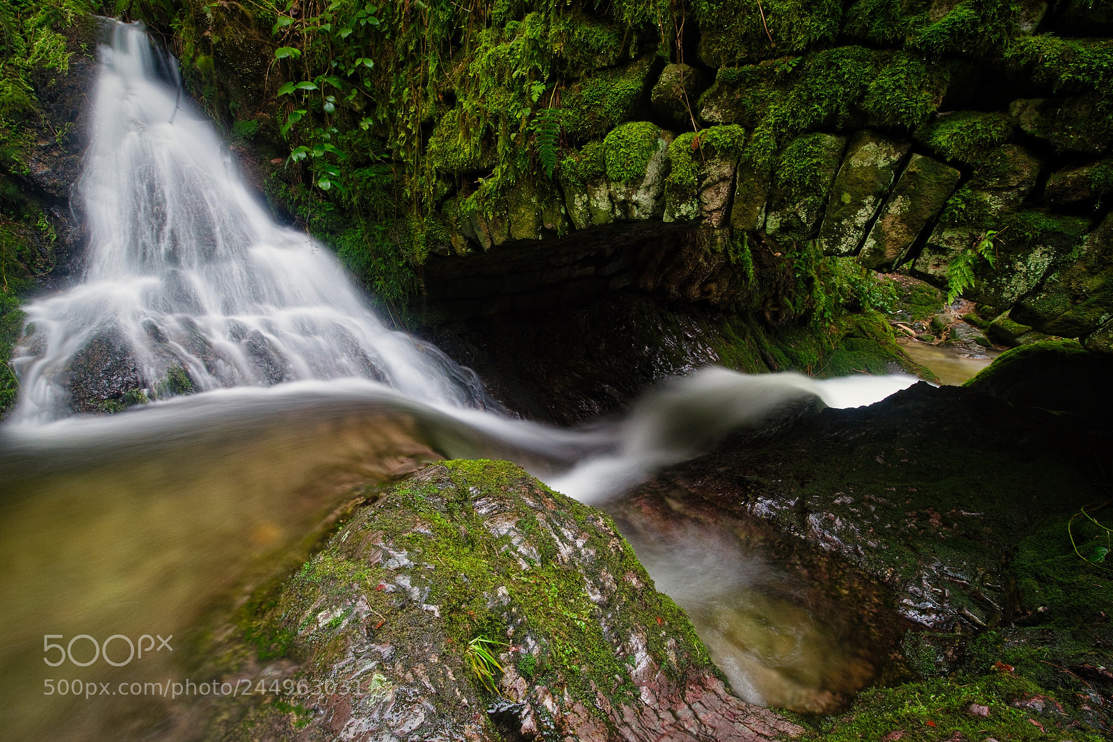 Pentax K-1 sample photo. Hindurch photography