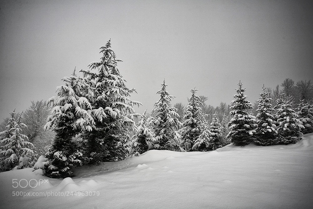 Canon EOS 5D sample photo. Winter in highlands talesh photography