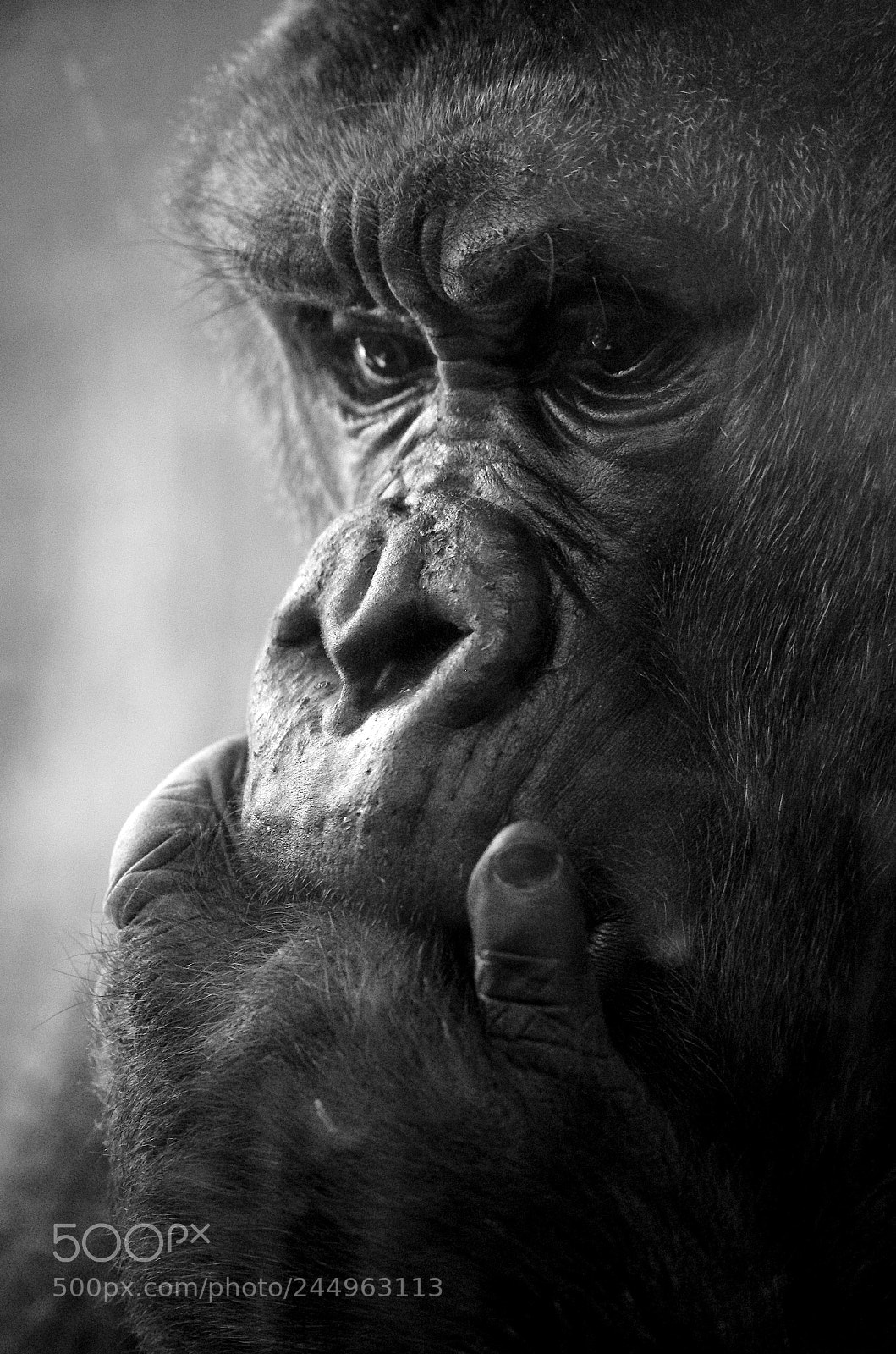 Nikon D5100 sample photo. The thinker photography