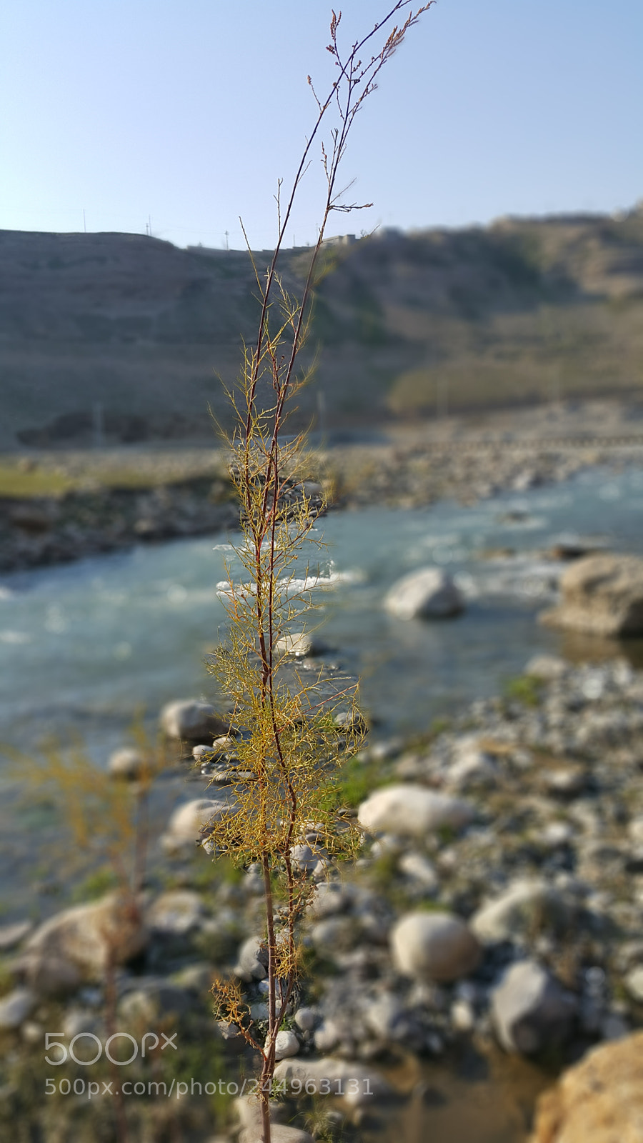 Samsung Galaxy Note4 sample photo. Untitled photography