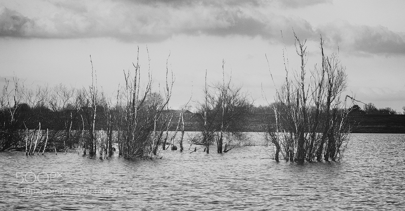 Canon EOS 400D (EOS Digital Rebel XTi / EOS Kiss Digital X) sample photo. Drowned land photography