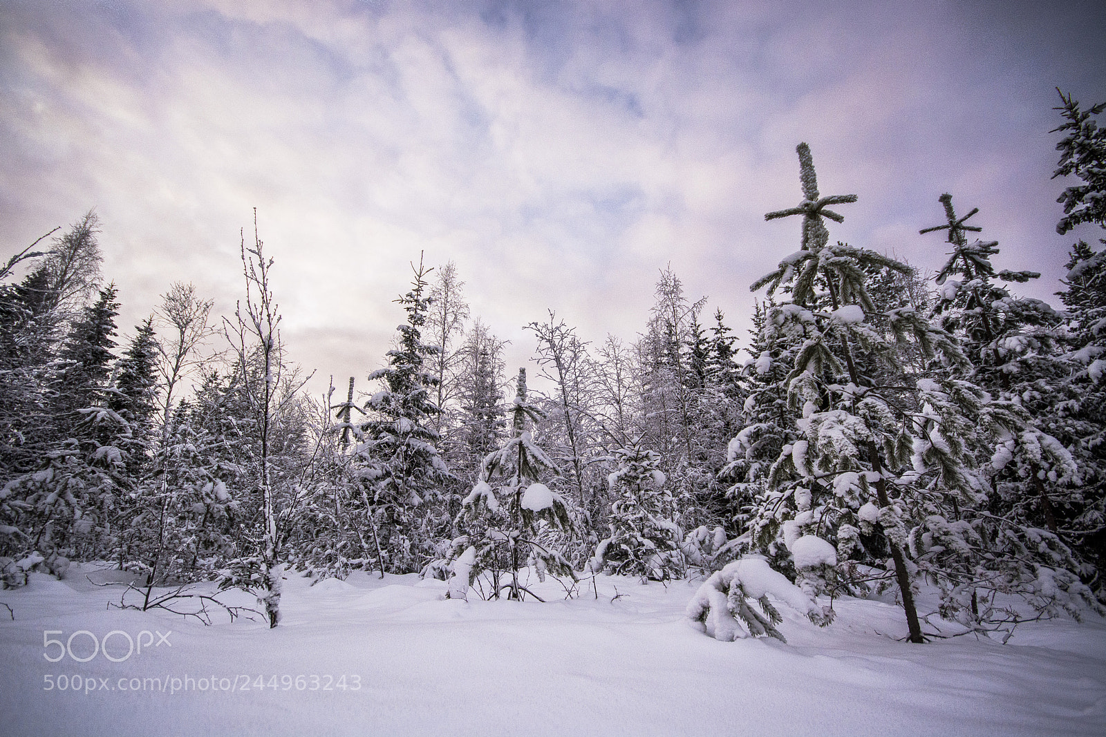Nikon D7100 sample photo. Winter day in untouchable photography