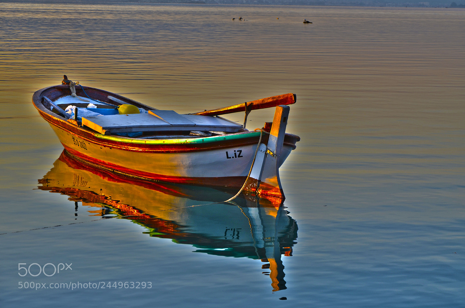 Nikon D5100 sample photo. Urla photography