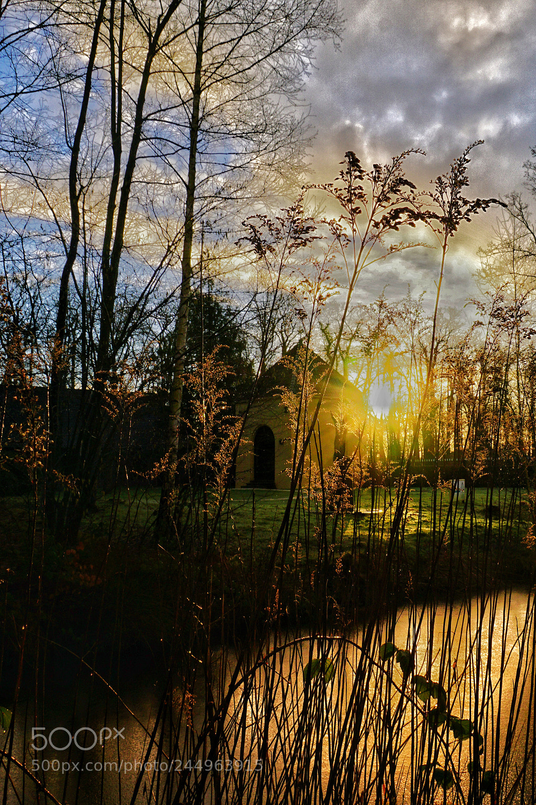 Sony ILCA-77M2 sample photo. Almost spring photography