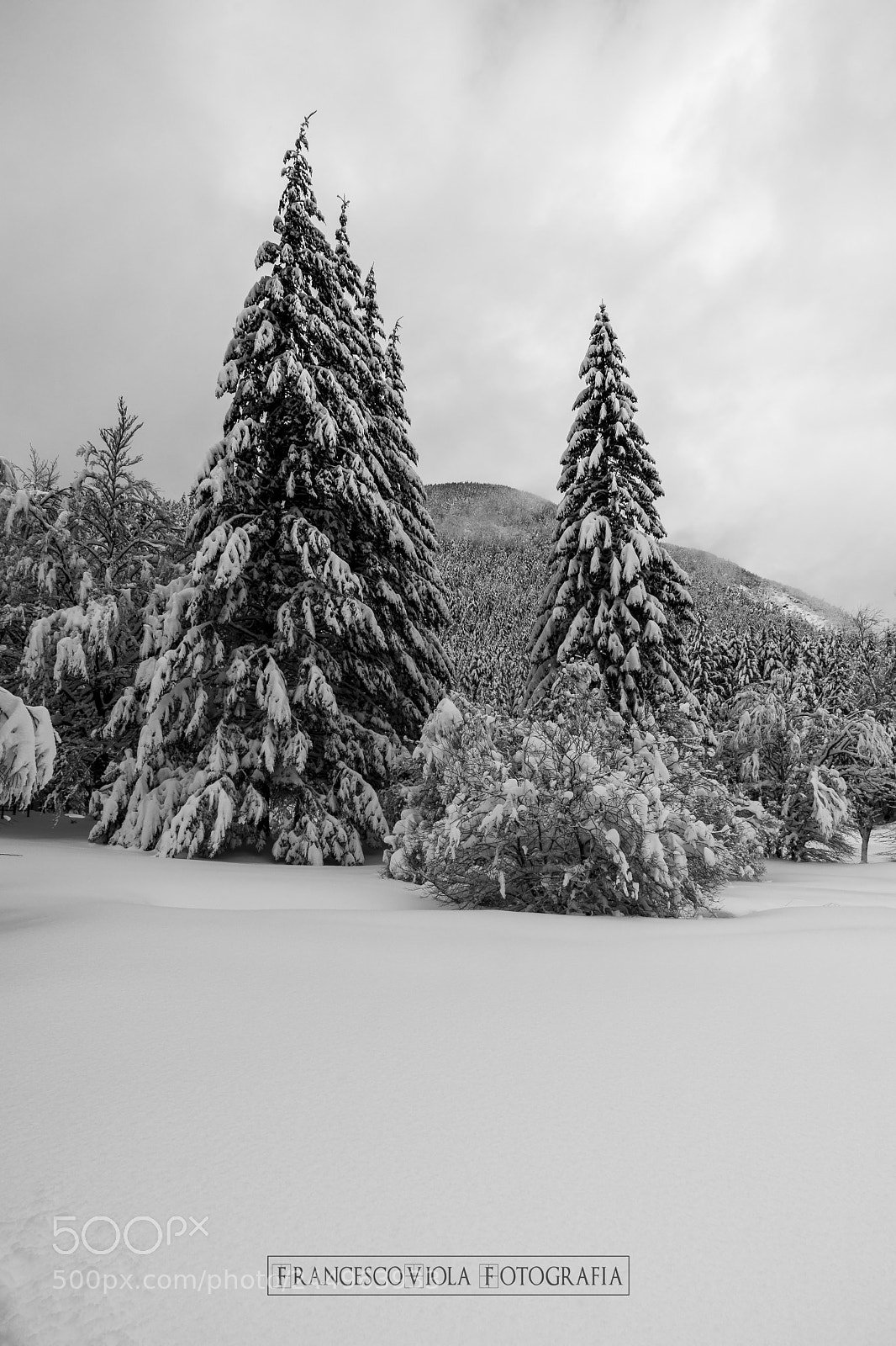 Nikon D7100 sample photo. The magic of snow photography