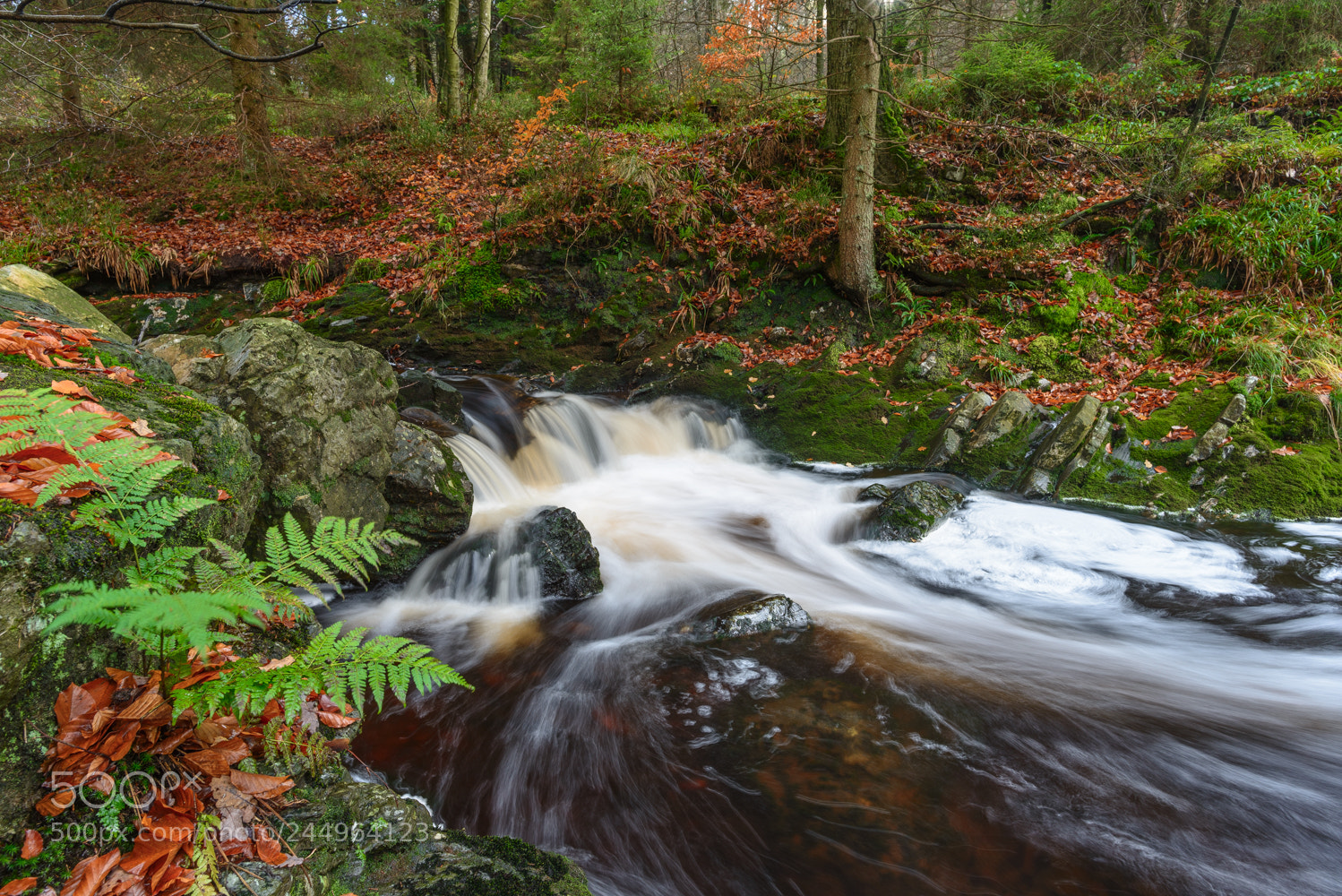 Nikon D800 sample photo. Waterfall behind the rocks photography