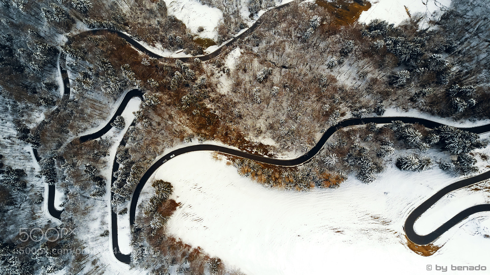 DJI FC220 sample photo. Back of a bull photography