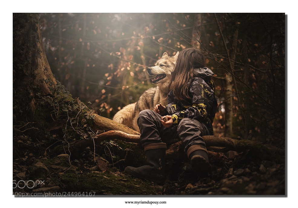 Nikon D810 sample photo. The imaginary wolf photography