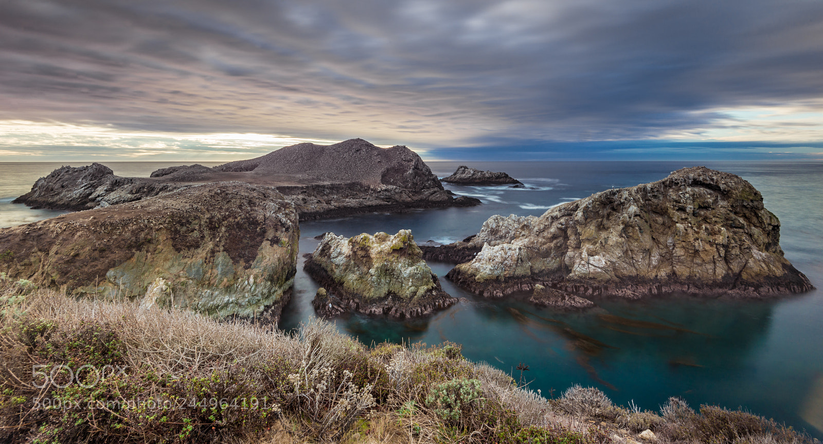 Nikon D600 sample photo. Bird island photography