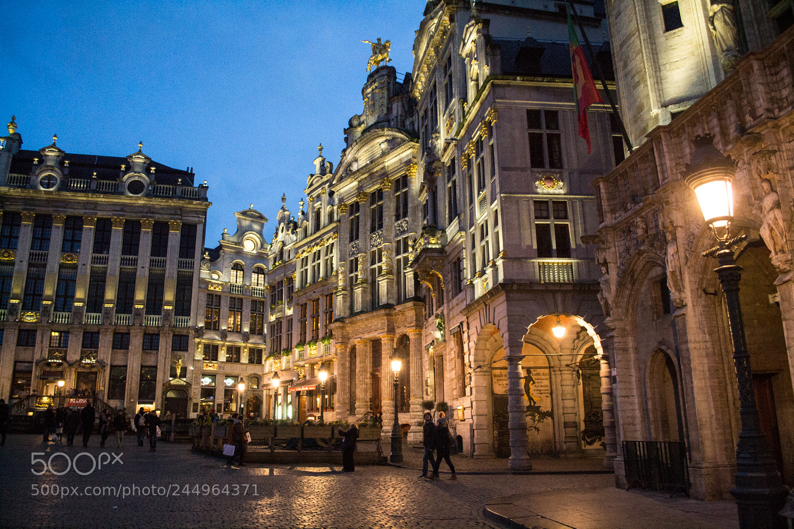 Nikon D3100 sample photo. Brussel's grand place photography