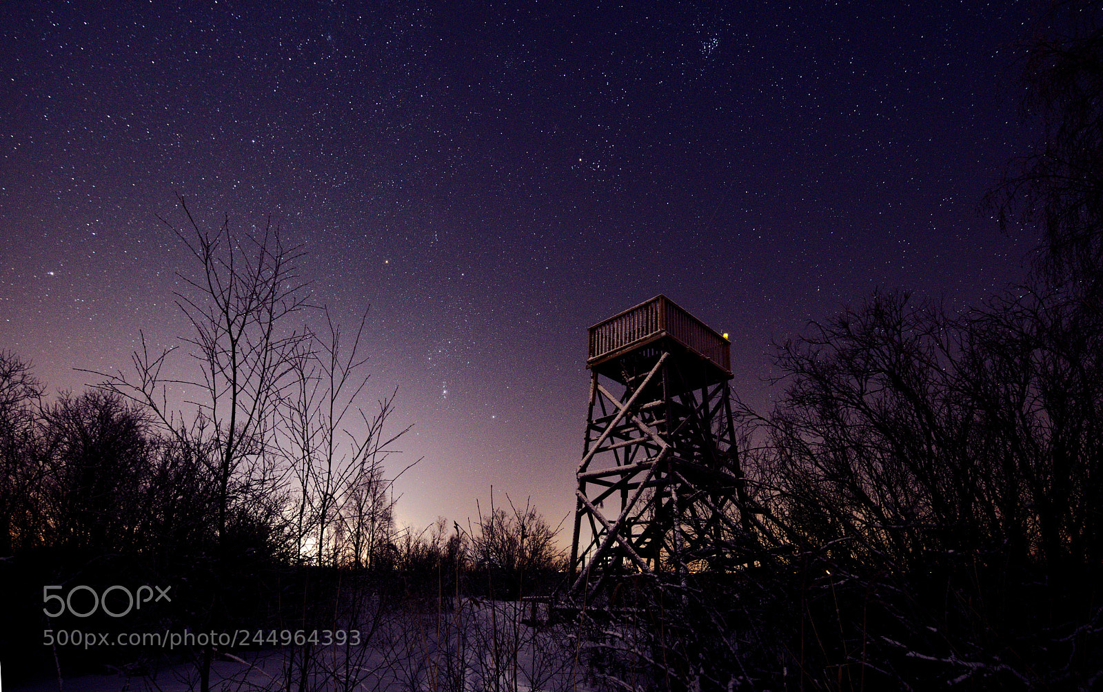 Pentax K-1 sample photo. Bird watching tower and photography