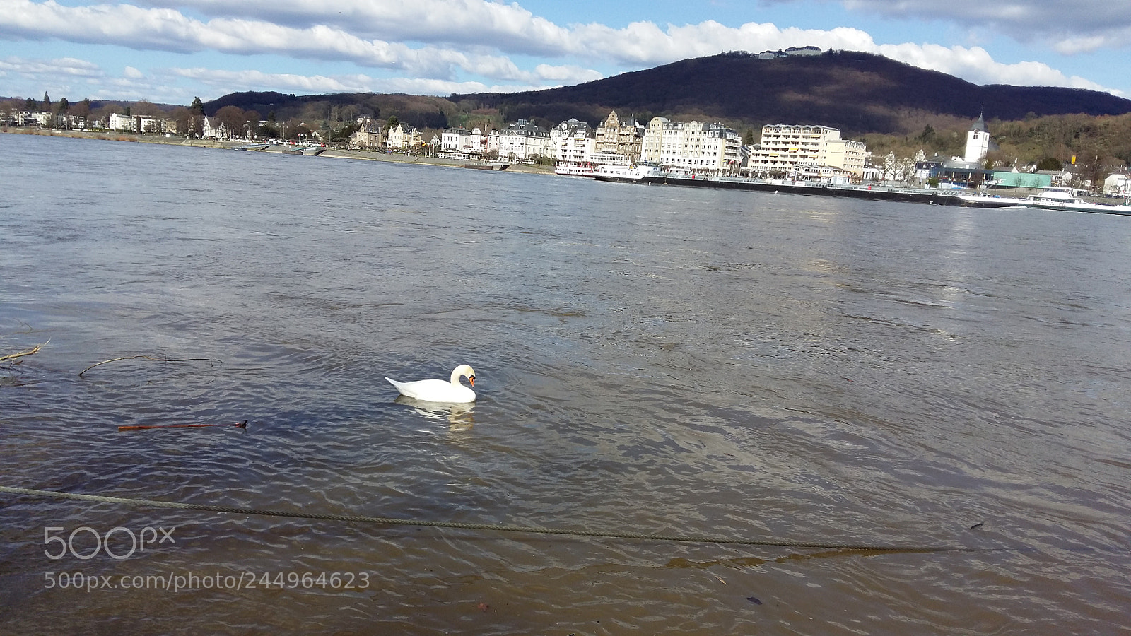 Samsung Galaxy A5 sample photo. Birds in the water photography