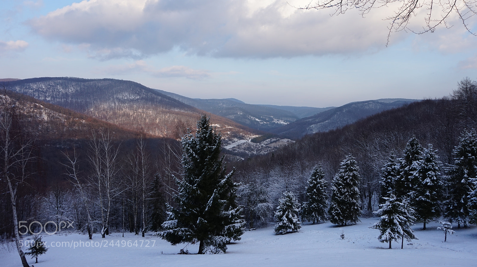 Sony Alpha a5000 (ILCE 5000) sample photo. Winter countryside photography