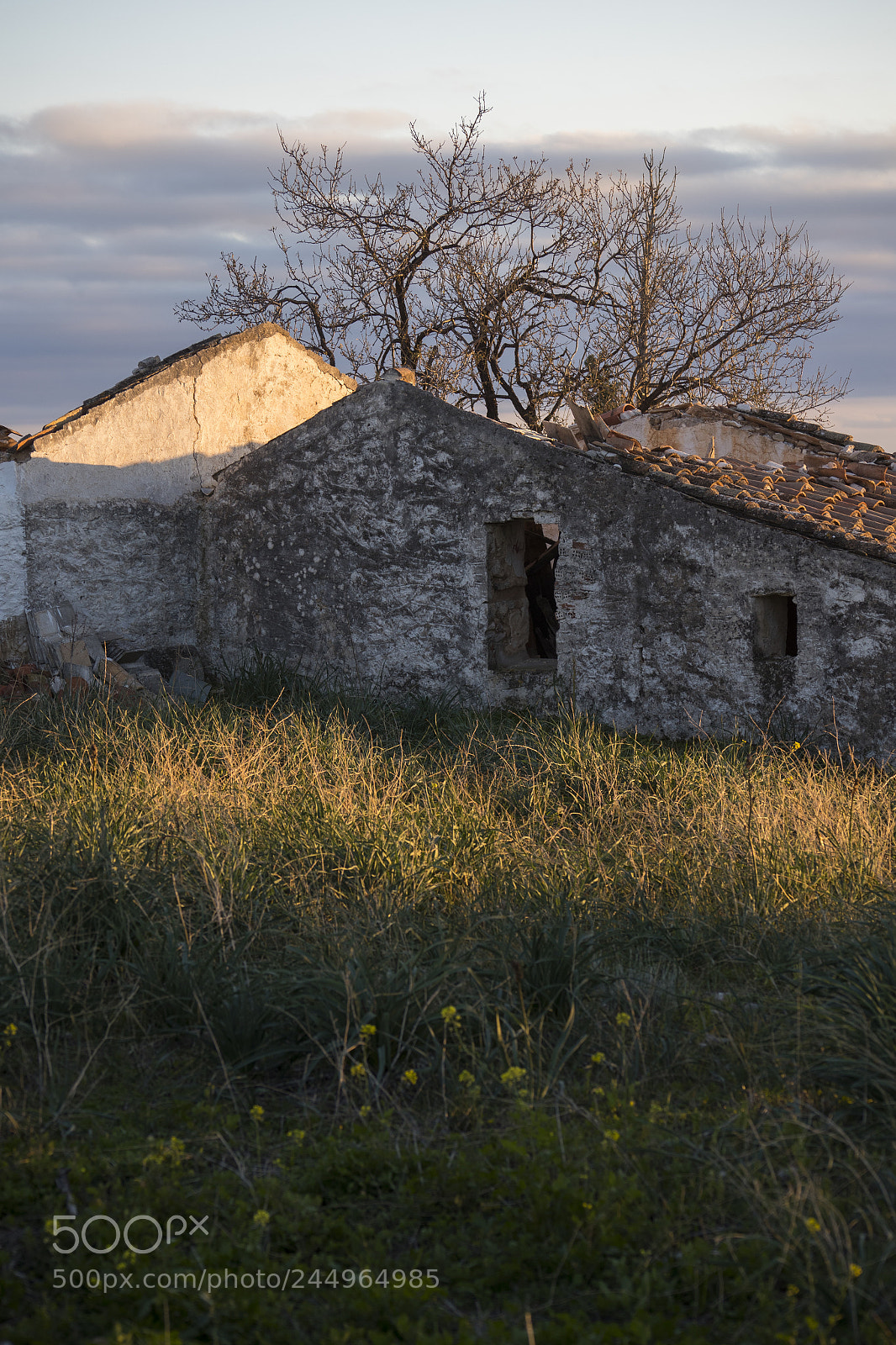 Canon EOS-1D X Mark II sample photo. Old house photography