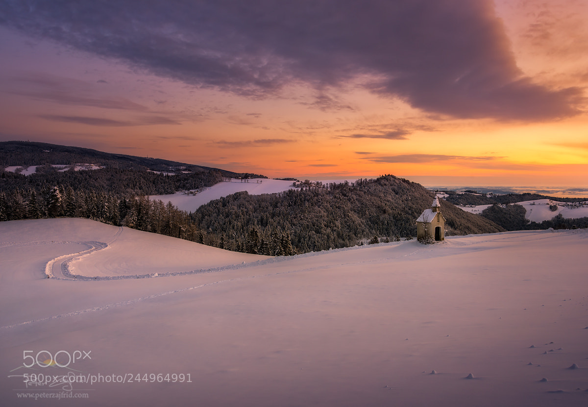Nikon D810 sample photo. Winter wonderland photography
