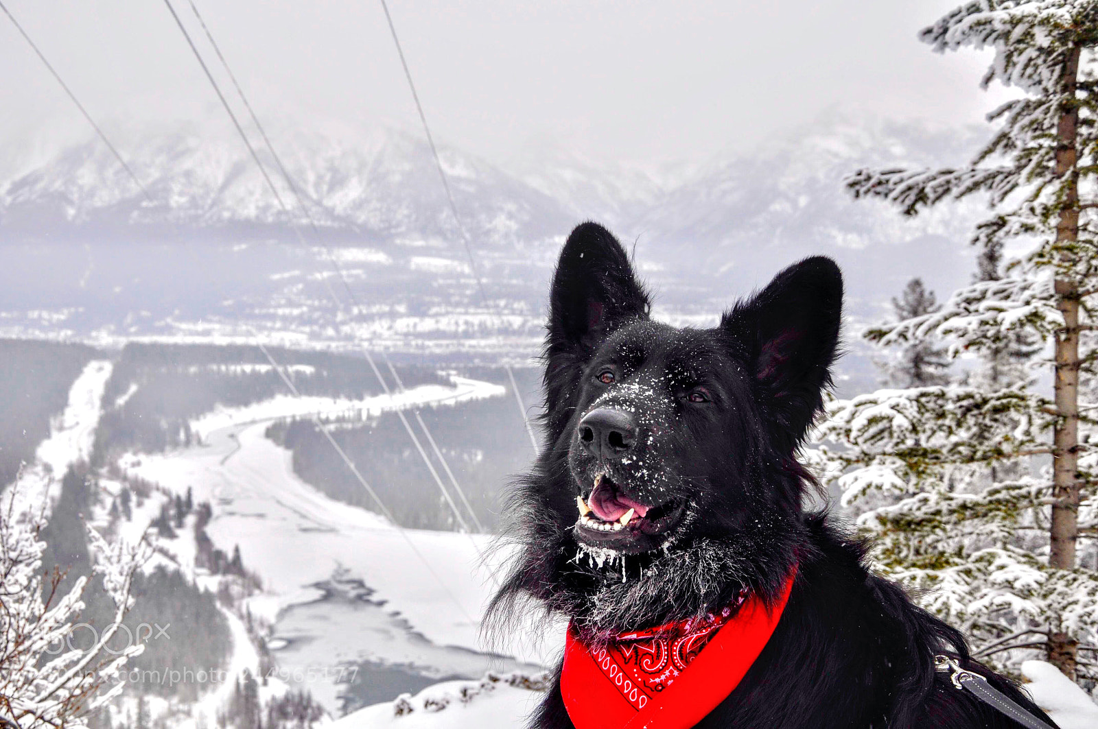 Nikon D5000 sample photo. Happiest in the mountains. photography
