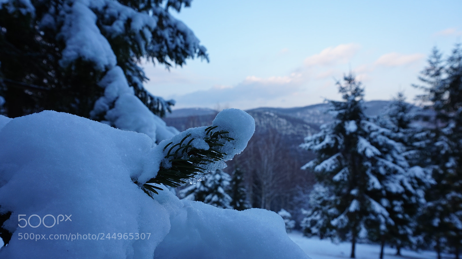 Sony Alpha a5000 (ILCE 5000) sample photo. Snow photography