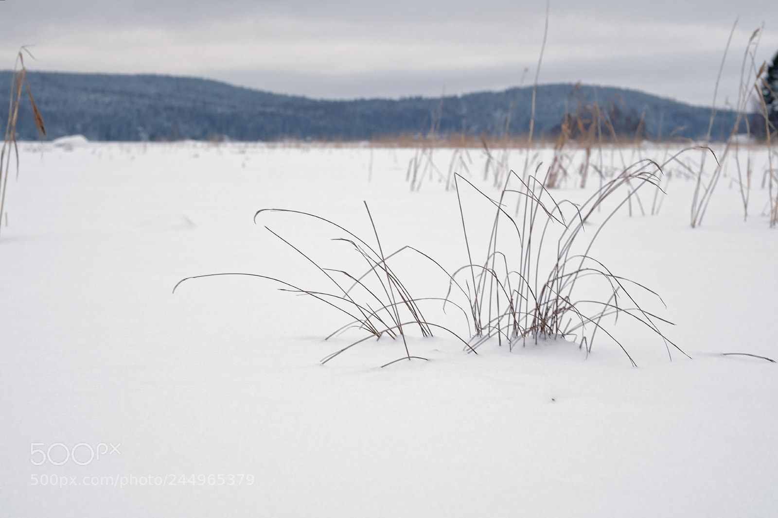 Fujifilm X-T2 sample photo. Snow photography