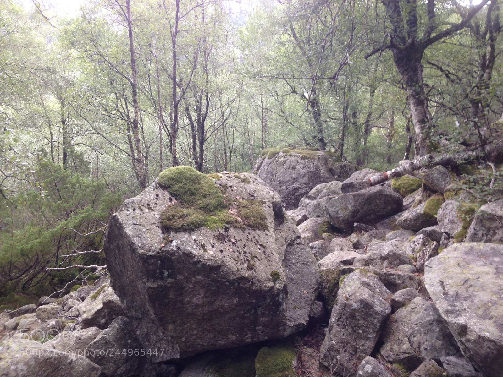 Apple iPhone 5c sample photo. Nature on the rocks photography