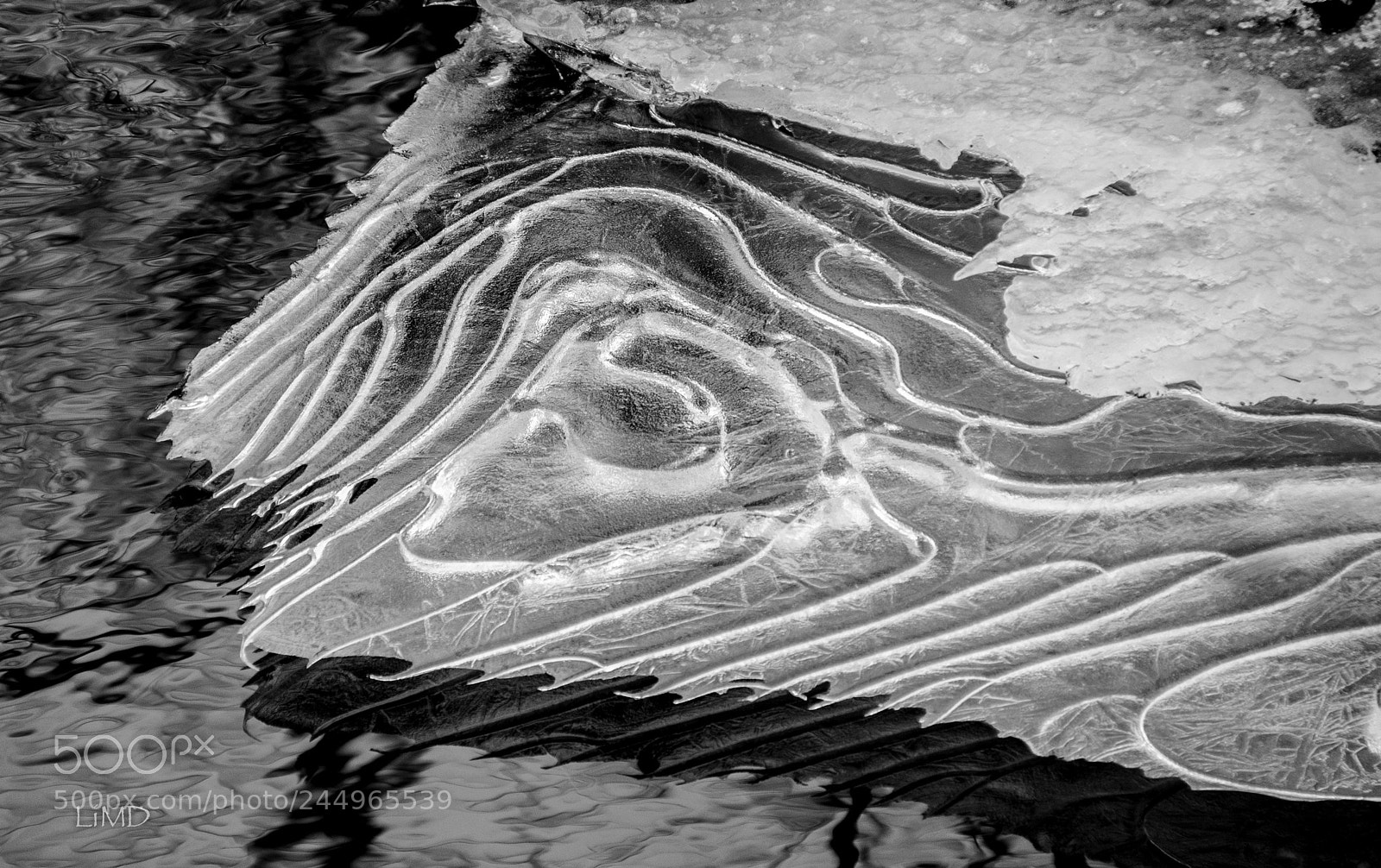 Nikon D600 sample photo. Ice photography