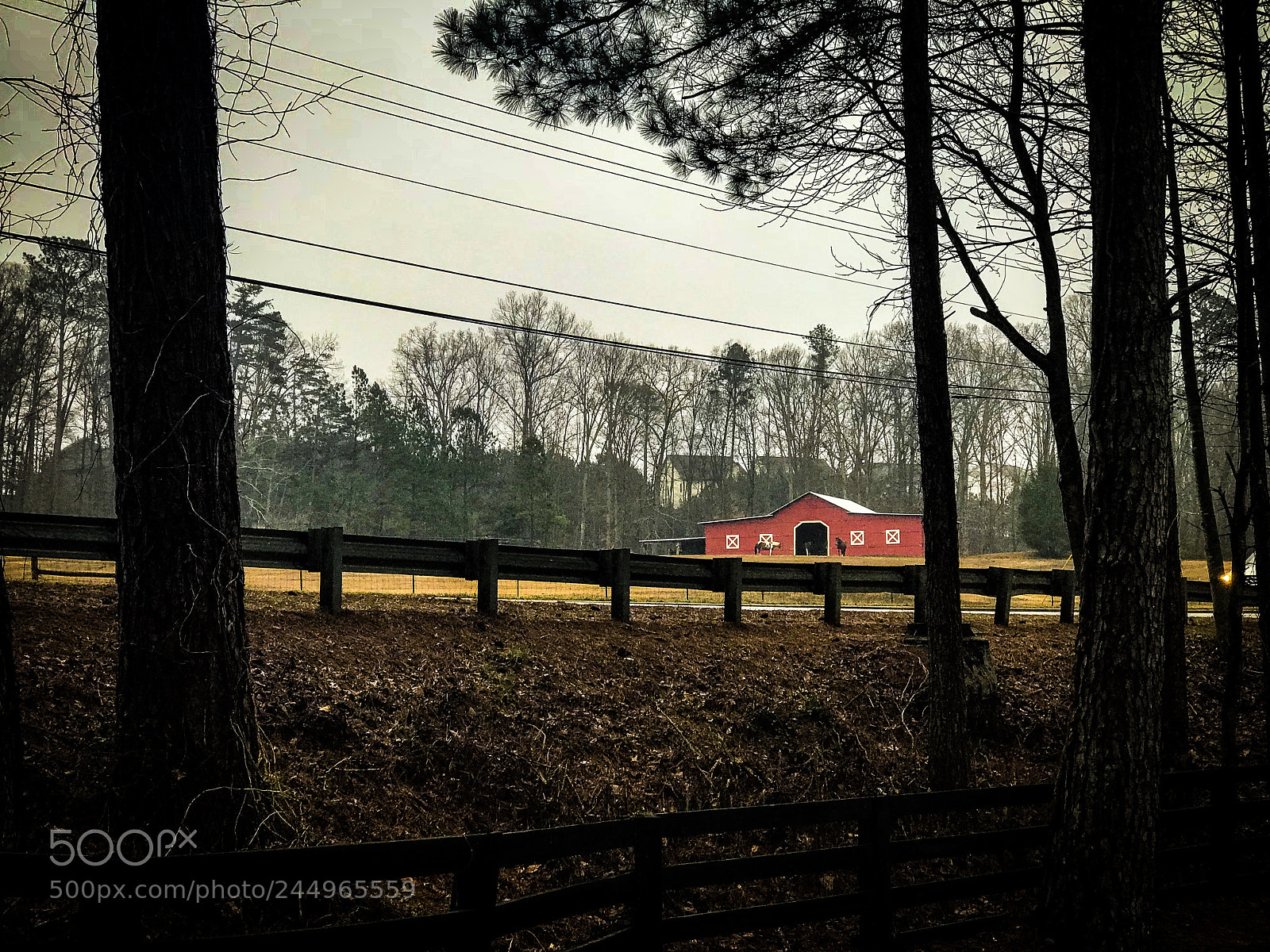 Apple iPhone 7 Plus sample photo. Horse farm photography