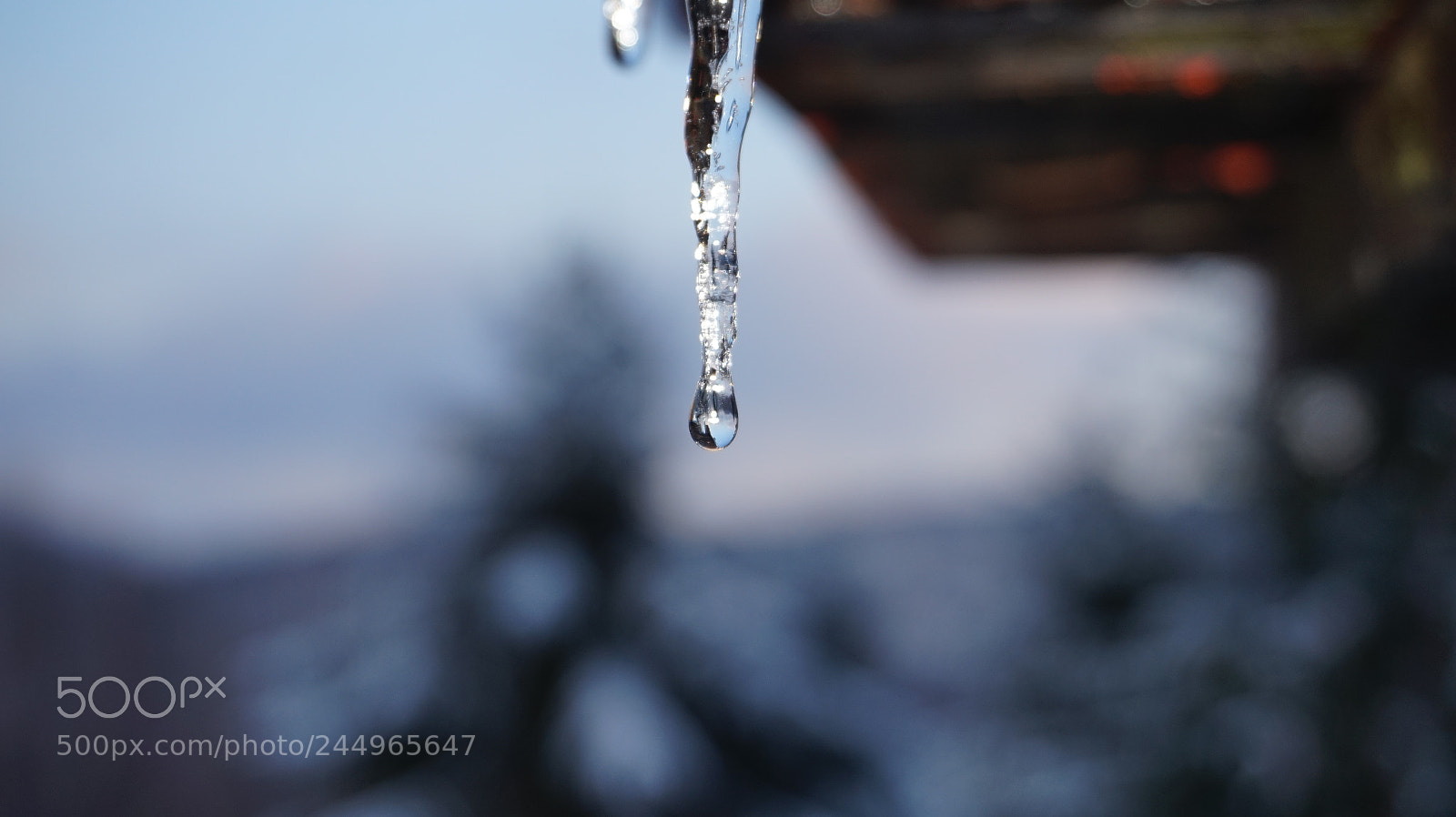 Sony Alpha a5000 (ILCE 5000) sample photo. Water drops photography