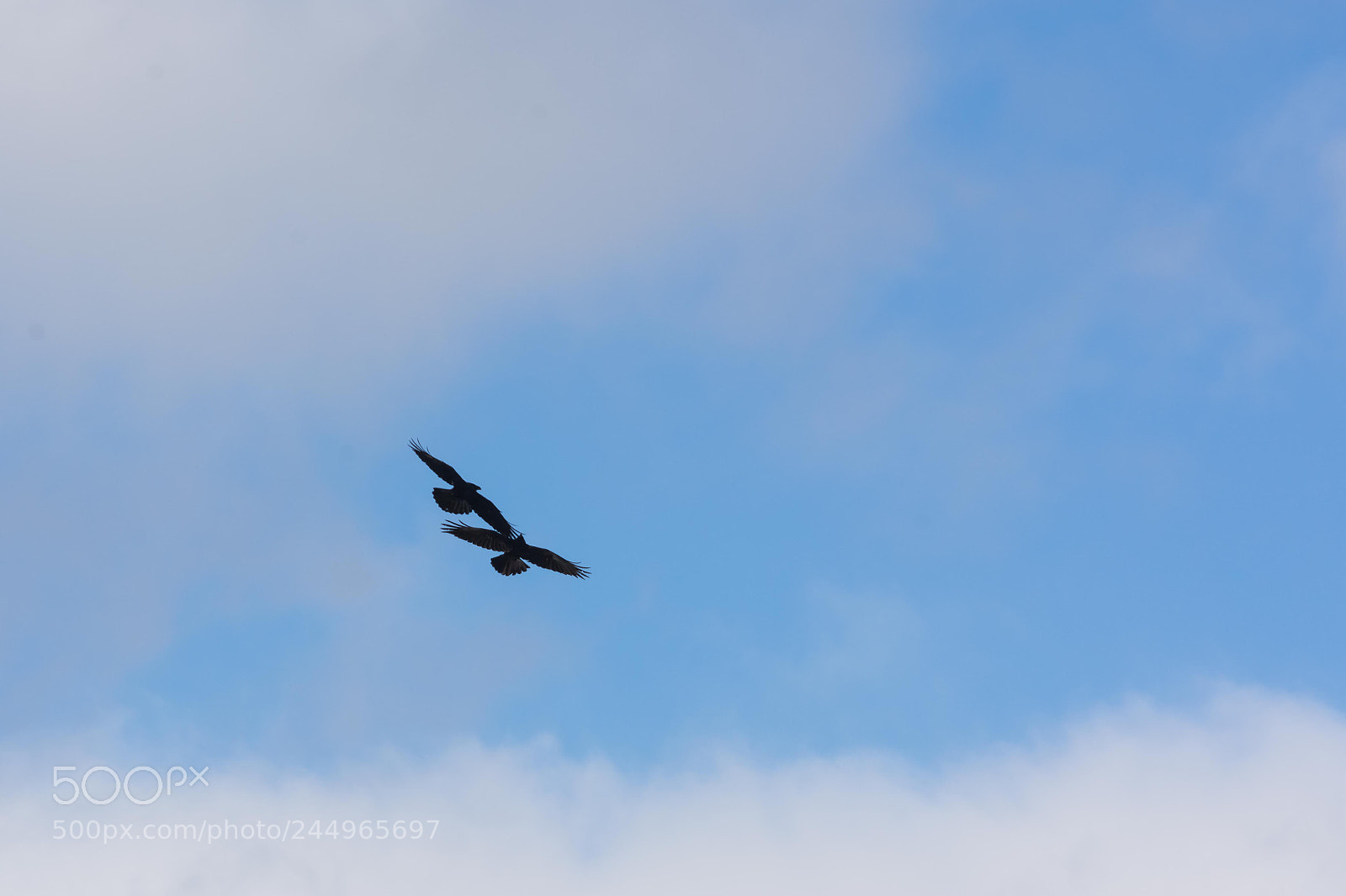 Nikon D7200 sample photo. Love on the sky photography
