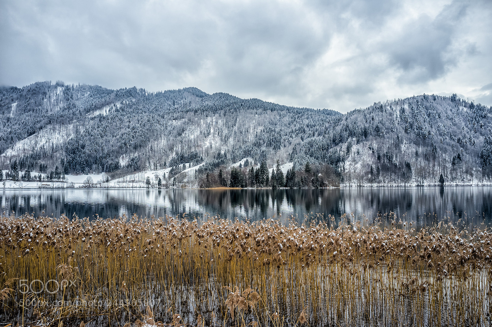 Fujifilm FinePix X100 sample photo. Schliersee schilf photography