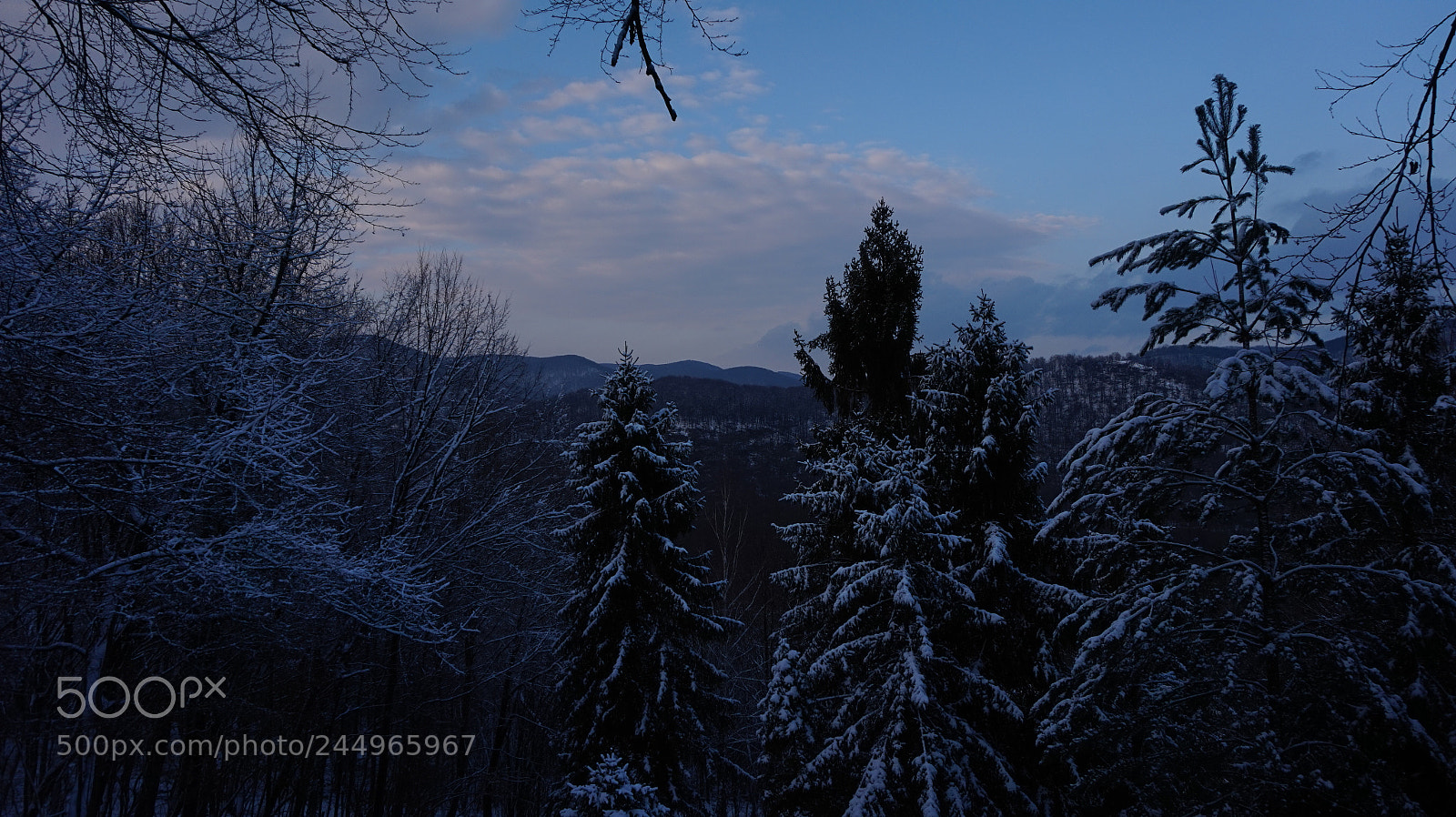 Sony Alpha a5000 (ILCE 5000) sample photo. Winter sunset photography