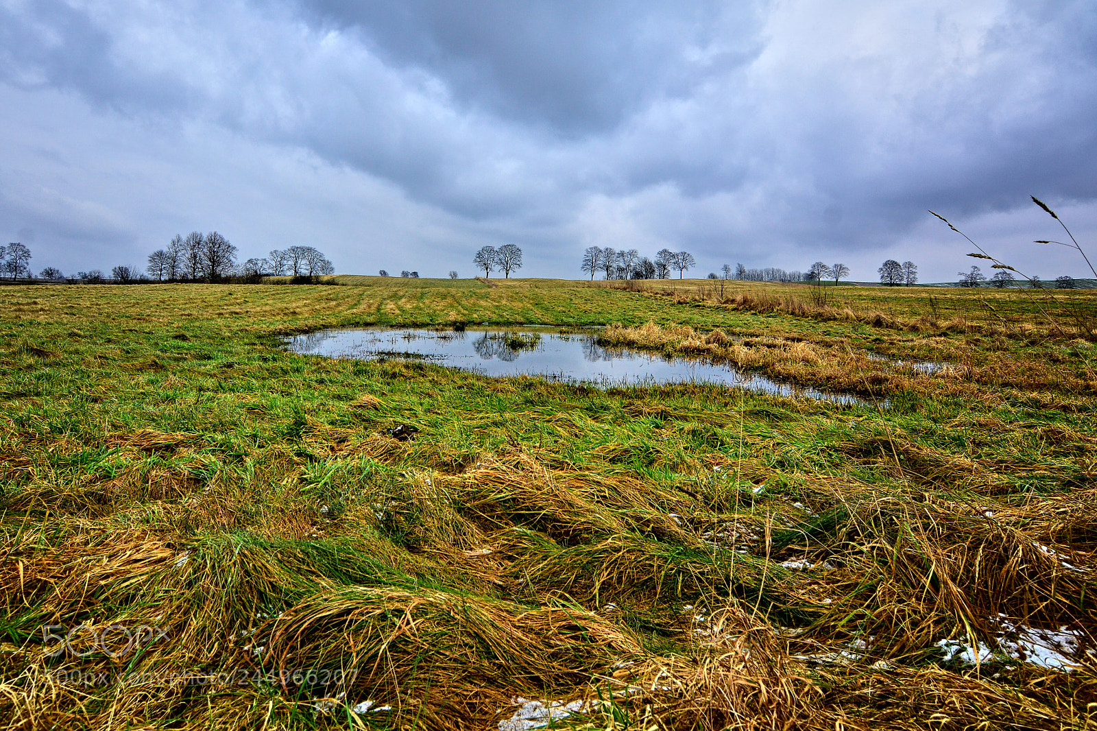 Nikon D7100 sample photo. On the meadow photography