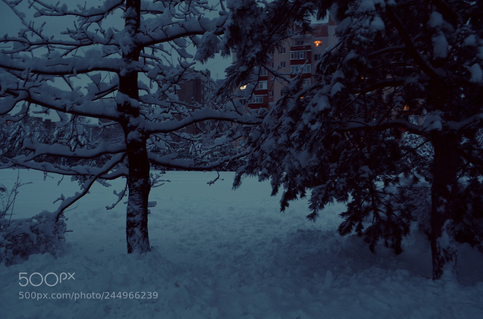 Nikon D5100 sample photo. Nightfall photography