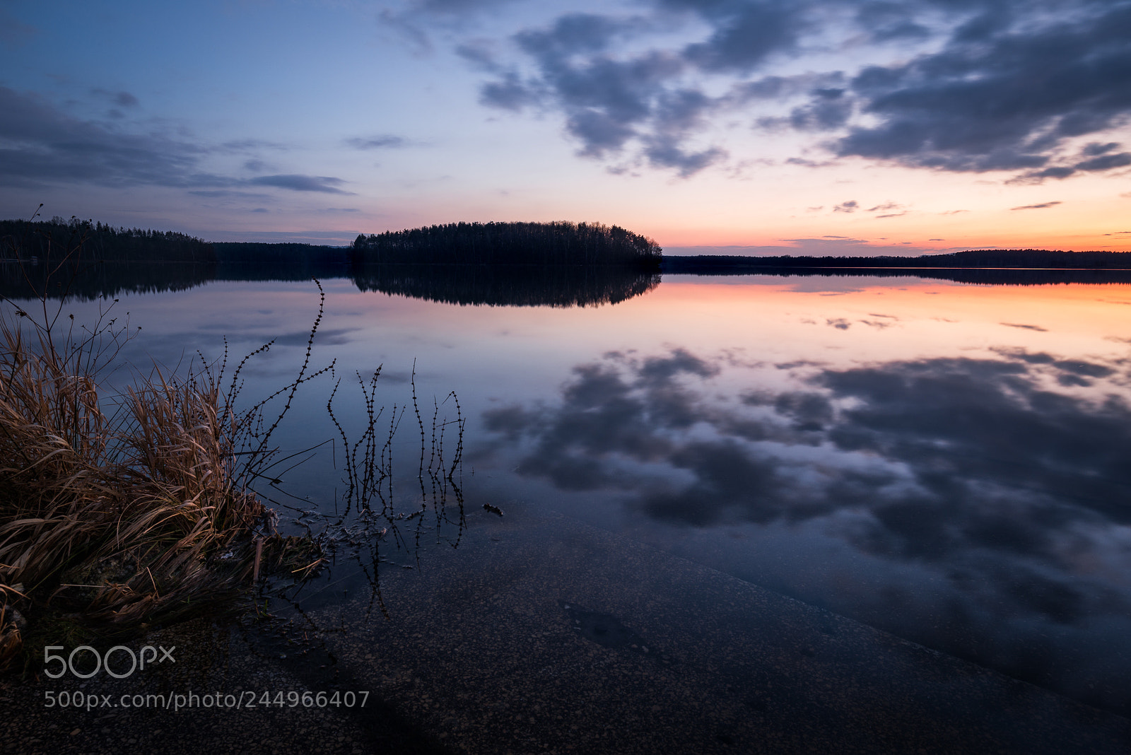 Nikon D610 sample photo. Steinberger see photography