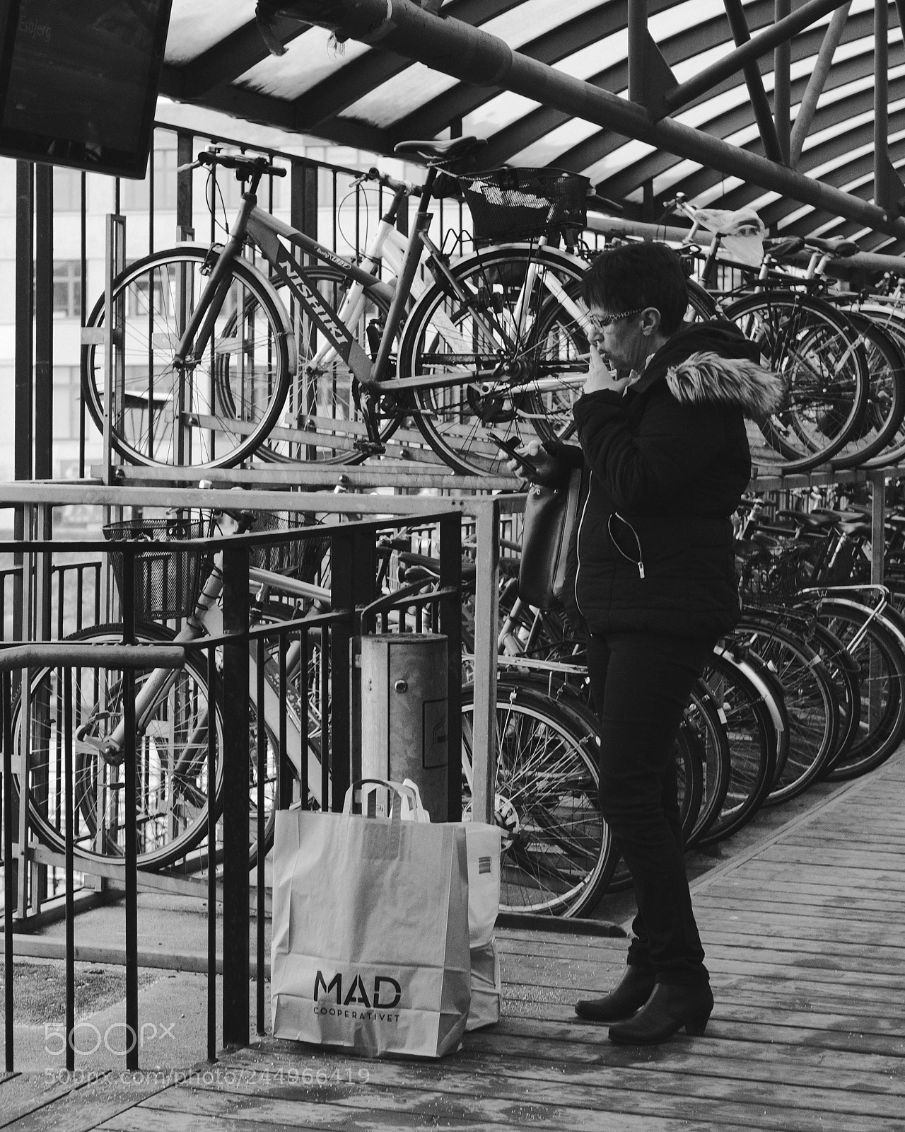 Fujifilm X-Pro2 sample photo. Project 52 #5 - multitasking photography