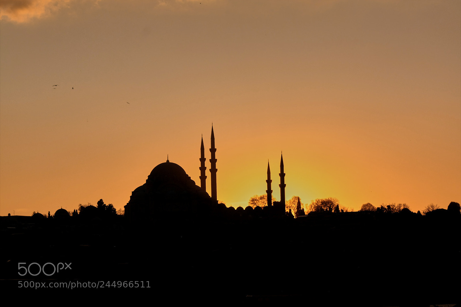 Canon EOS 450D (EOS Rebel XSi / EOS Kiss X2) sample photo. Sunset in sultanahmet photography