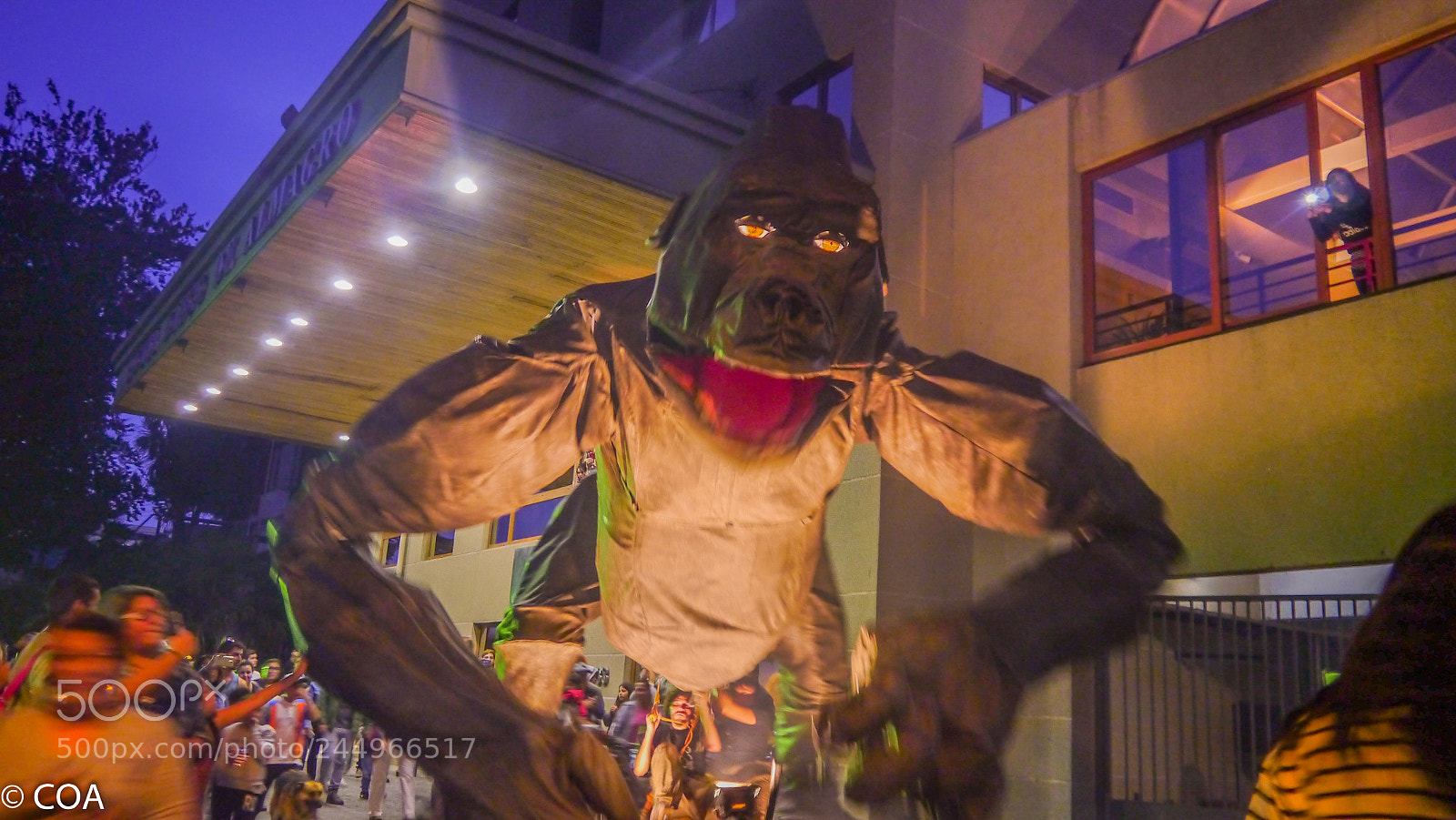 Panasonic Lumix DMC-G3 sample photo. P photography