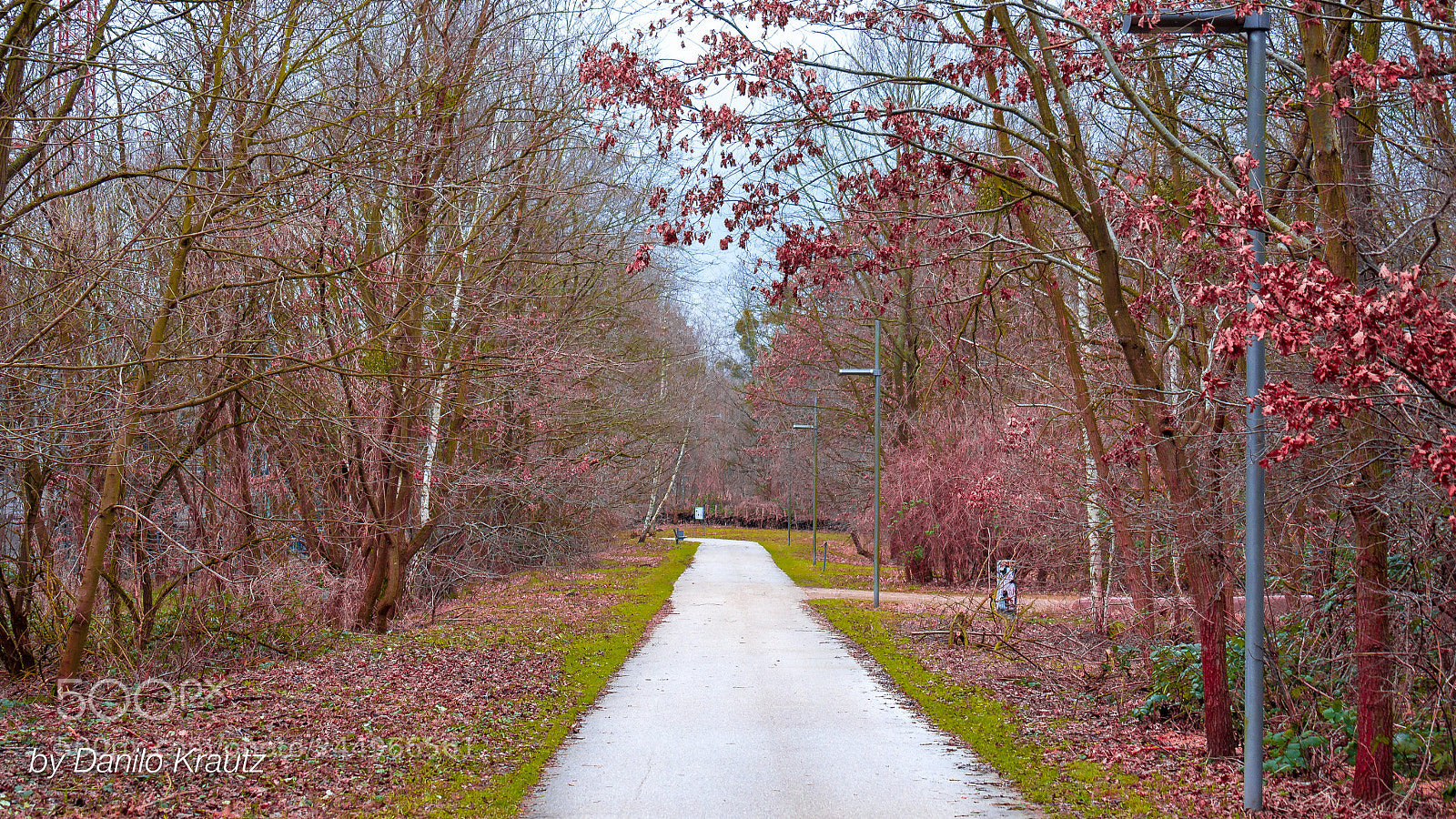 Panasonic Lumix DMC-G6 sample photo. Volkspark potsdam photography