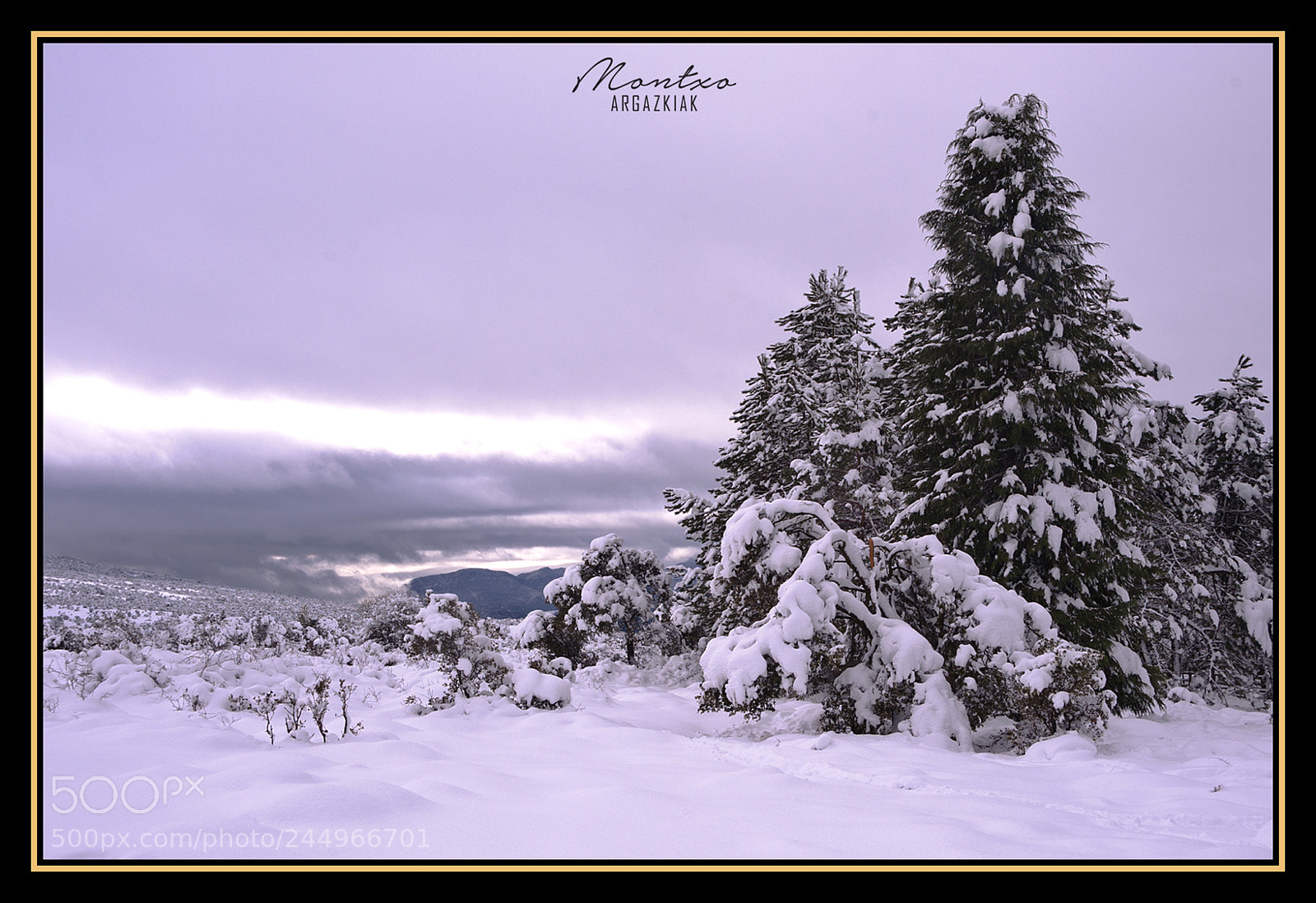 Nikon D700 sample photo. Snow.... photography