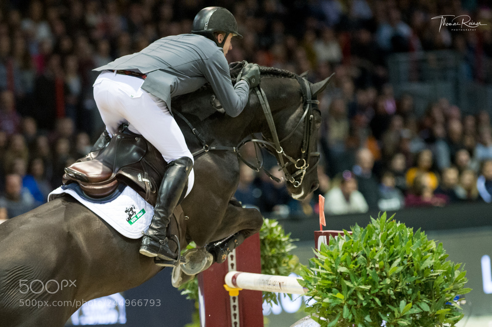 Nikon D4 sample photo. Bordeaux, france, 4.2.2018, sport photography