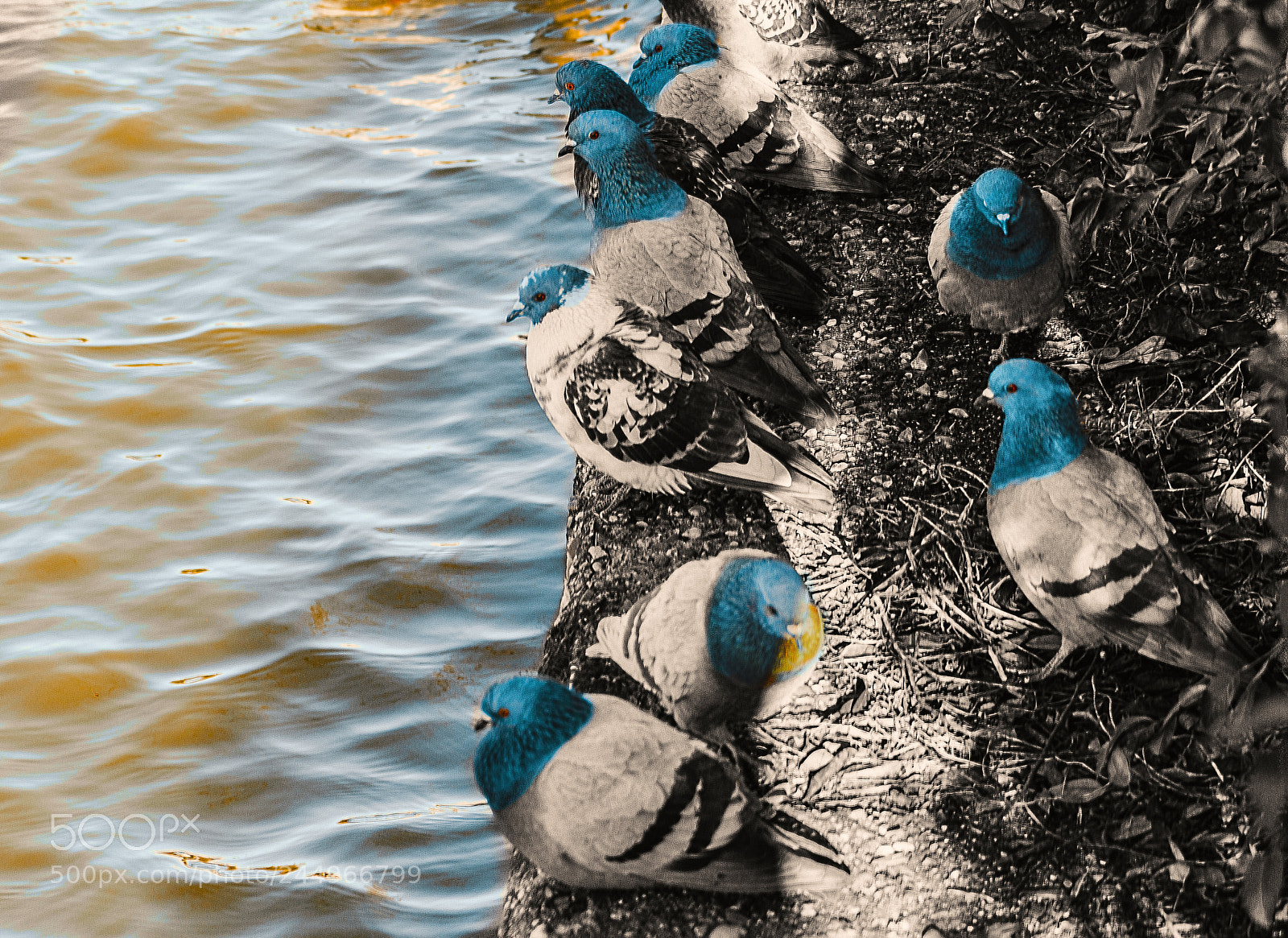 Nikon D5100 sample photo. Orange-blue photography
